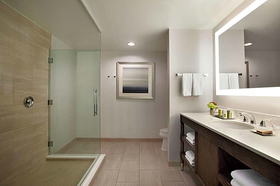 Hilton New Orleans/St. Charles Ave. French Quarter Area