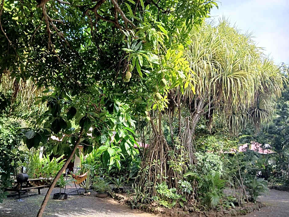 Résidence Les MANGUIERS OTANTIK