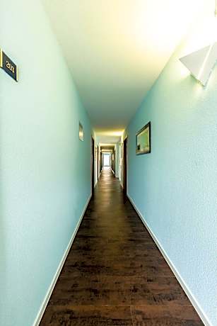 Budget Single Room