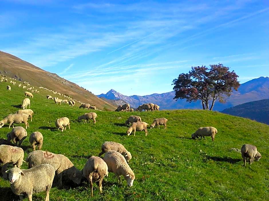 Hôtel du Crêt Rond