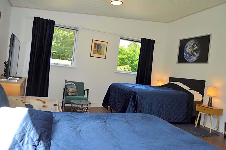 Serengeti & Stayover