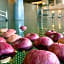 Hotel Apple Land