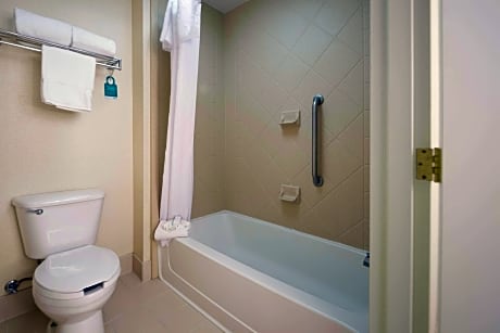 1 Queen Bed Studio Suite Nonsmoking