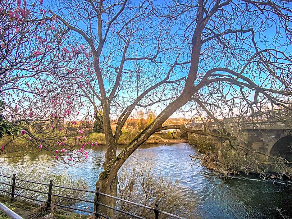 The Terrace at Riverside Suites