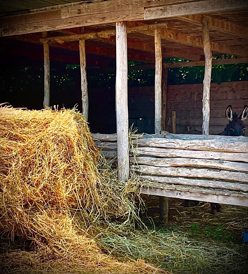Agriturismo le tre stelle