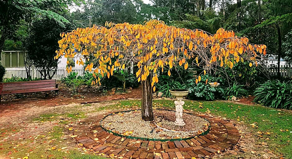 Adamsons Riverside Accommodation