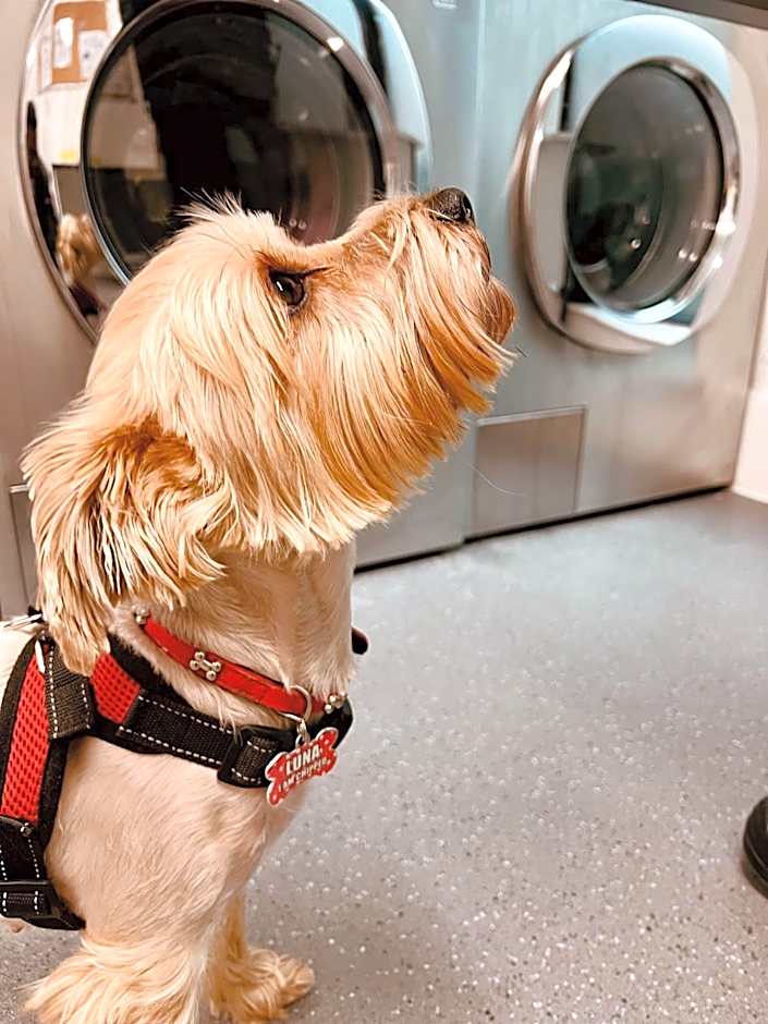 STAYBRIDGE SUITES LONDON-HEATHROW BATH ROAD By IHG