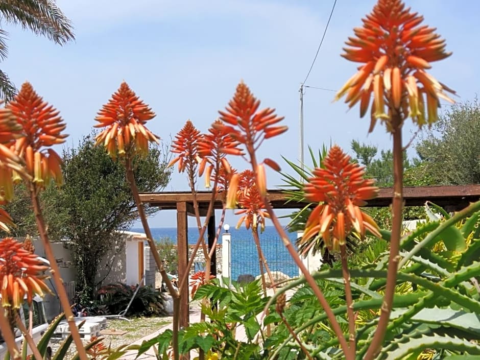 La Casa A Mare B&B