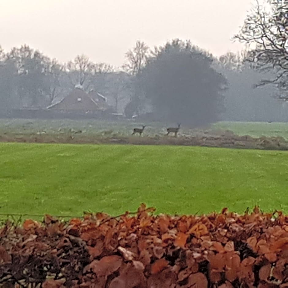 B&B op de Sing-Sang