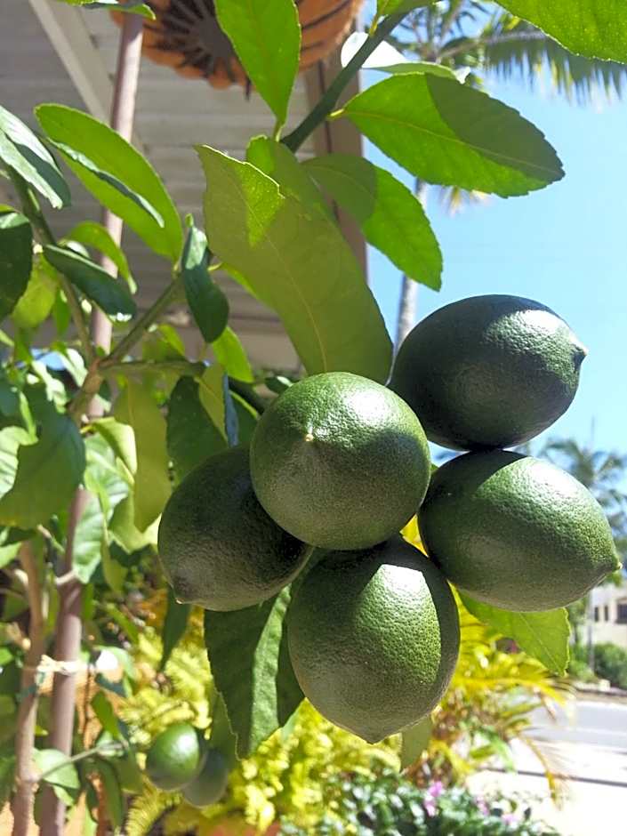 Clifton Sands Holiday Units