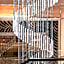 Sofitel Nanjing Galaxy
