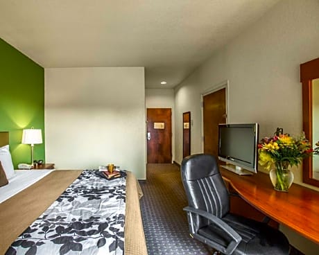 1 King Bed, Nonsmoking
