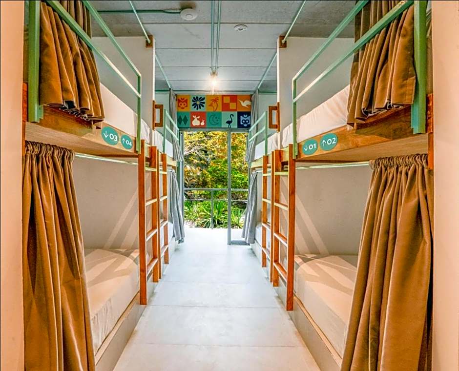 Mayan Monkey Isla Mujeres - Social Hotel