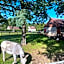 Nice 3-bedroom house with lake view