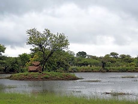Morekuri Safaris