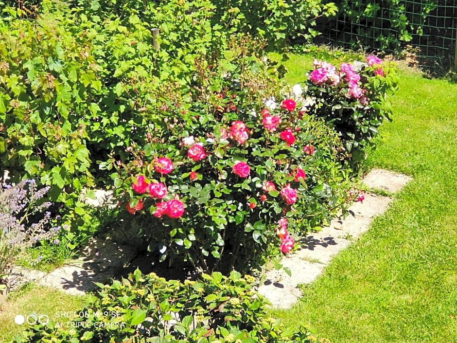 Les Chambres des Badious