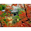 Dogo Onsen Funaya - Vacation STAY 54597v