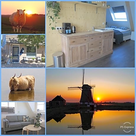 B&B Zonnedael