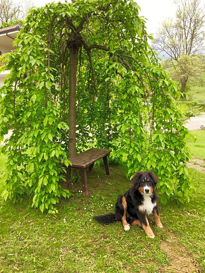 B&B La Libellula – Turin, NY