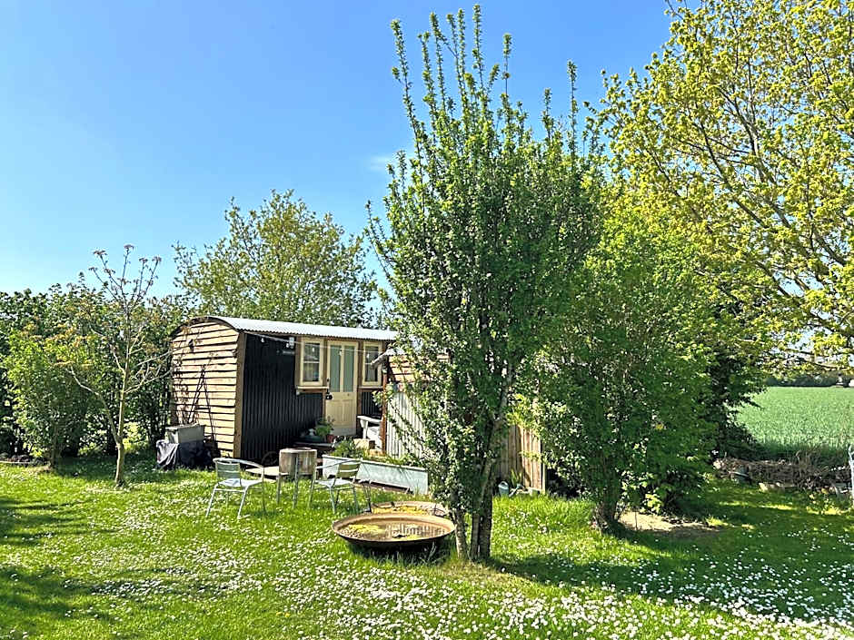 Mr Hares shepherd hut
