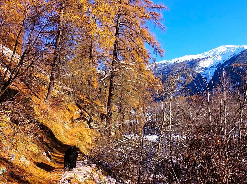 B&B Villa Stelvio