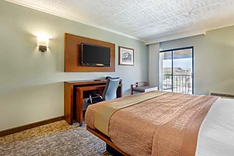 King Room - Poolside