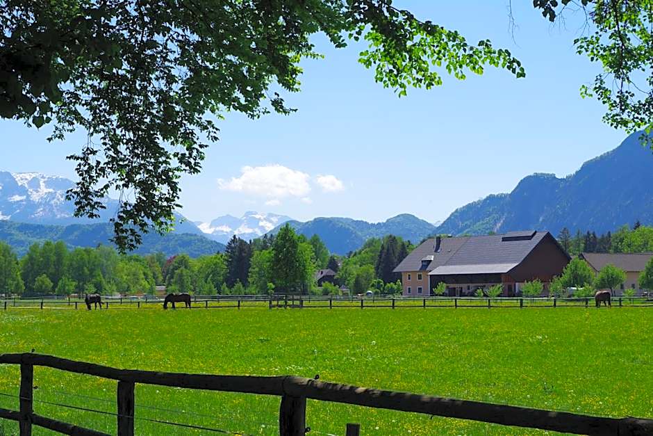 Sishaus - View at Mozarts