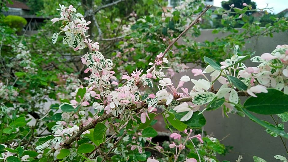 Grand 7 Hotel Thalawathugoda