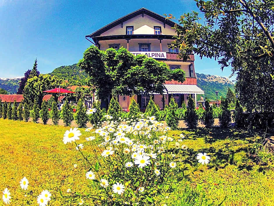 Alpina Hotel