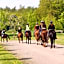 Horsetellerie Rheezerveen