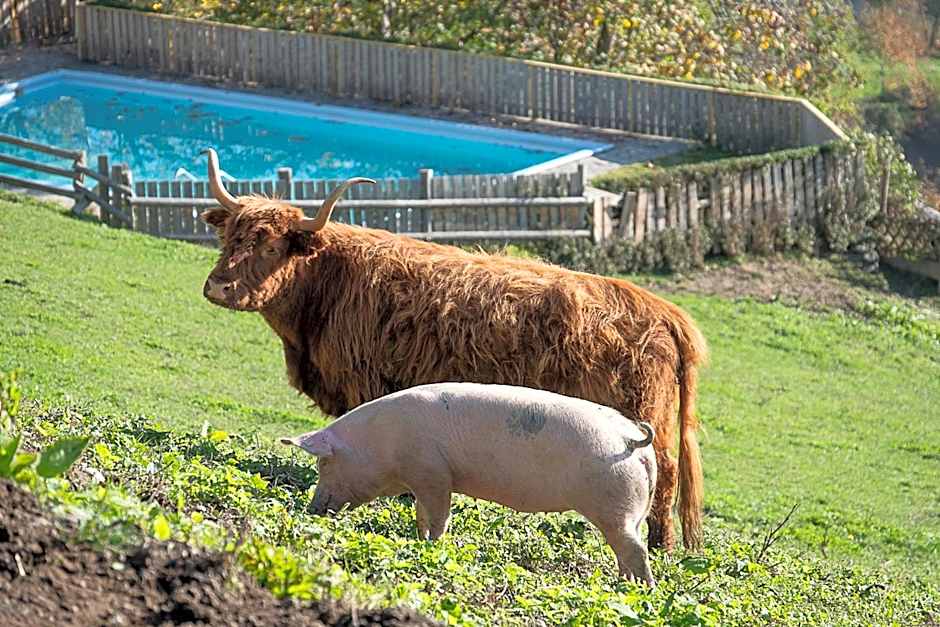 Berglandhotel Untertheimerhof