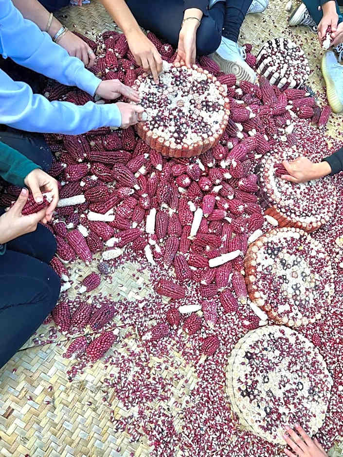 Hacienda Santa Barbara Casa Malinche