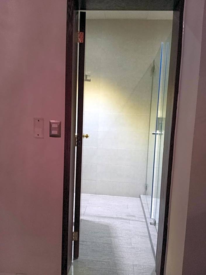 Hotel Alameda Centro Historico