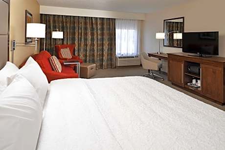 Deluxe King Room - Non-Smoking