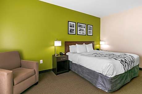 King Suite with Sofa Bed - Non-Smoking