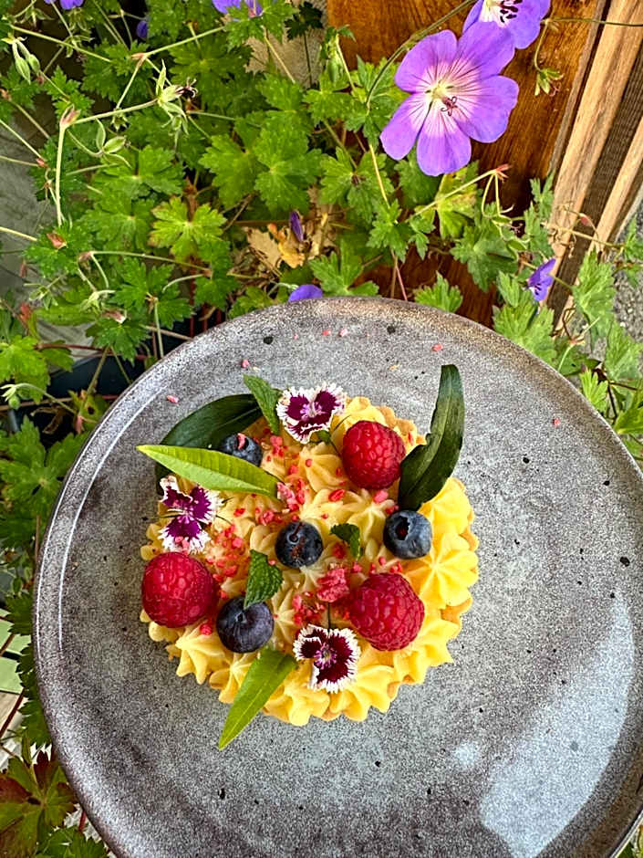 Hôtel-Chalet les Mélèzes