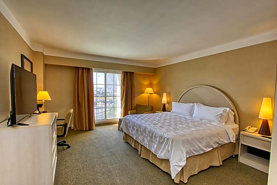 Holiday Inn Leon-Convention Center By IHG