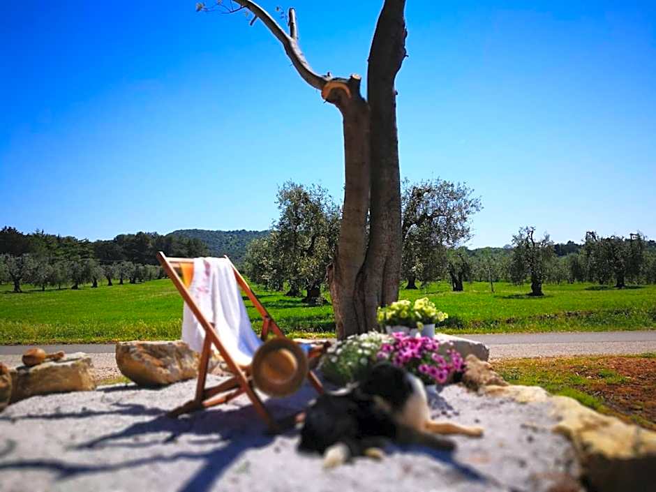 On Holiday Between Sky And Sea geco Di Campiglia pet friendly big garden