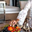 Monaco Suites Hotel