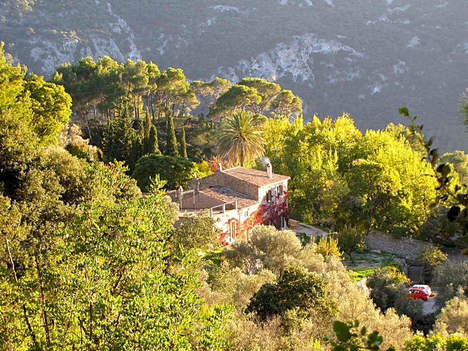 Mirabó de Valldemossa