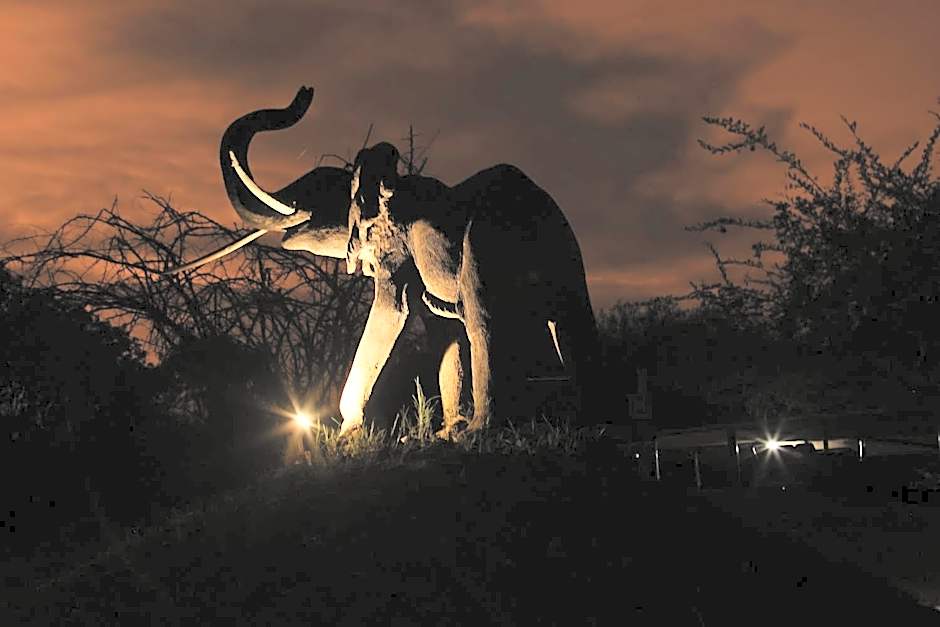 Karongwe - Chisomo Safari Camp