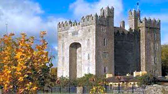 Castletroy Park Hotel