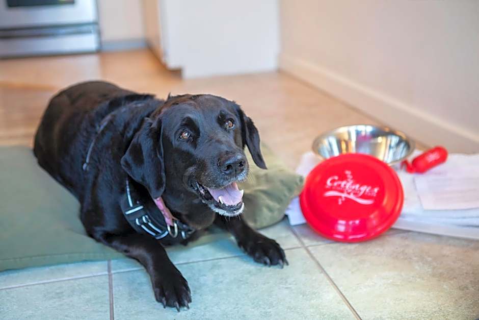 Inn at Schoolhouse Creek