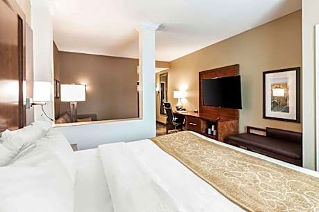 1 King Bed, Suite, Nonsmoking
