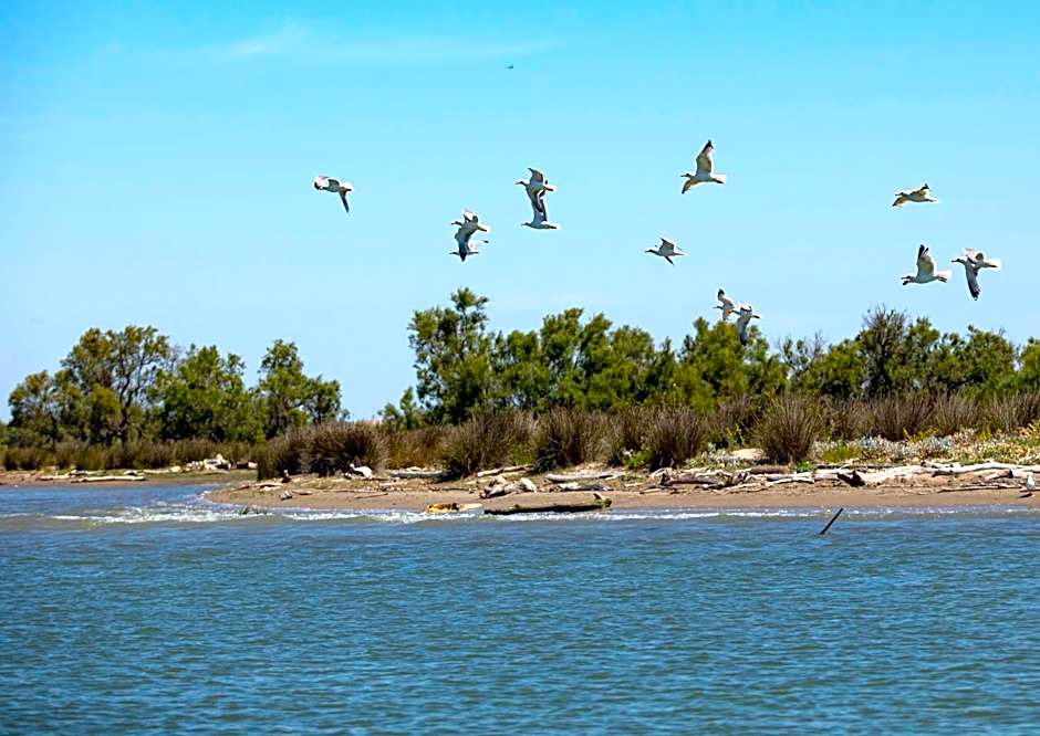 Mas de la Fouque - Hôtel & Spa