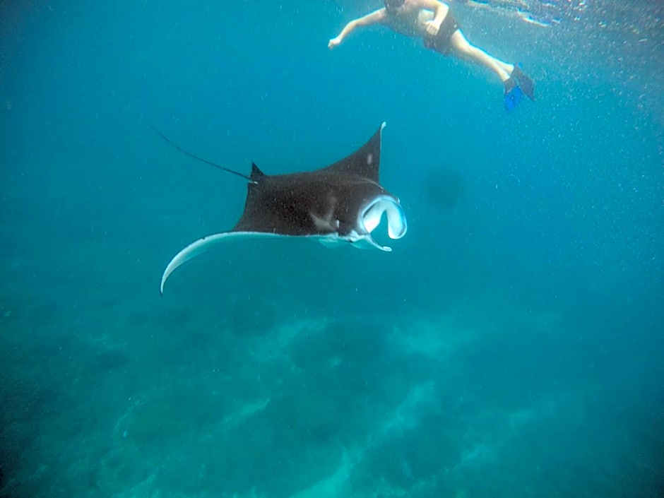 Sea Bridge Villa Ceningan