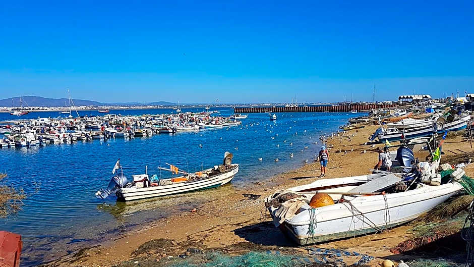 Hostel A Casa da Árvore