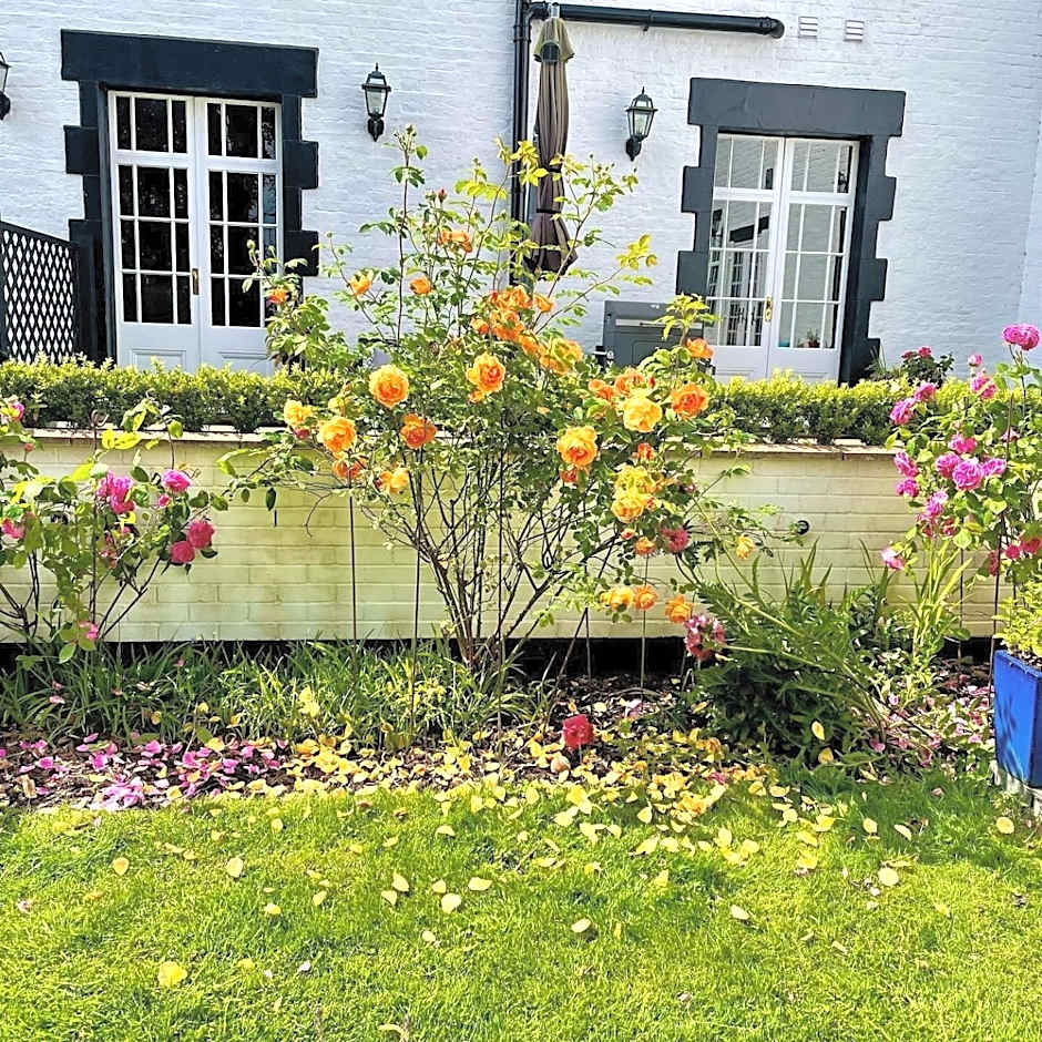 Eagle House - Award Winning B&B and Apartment