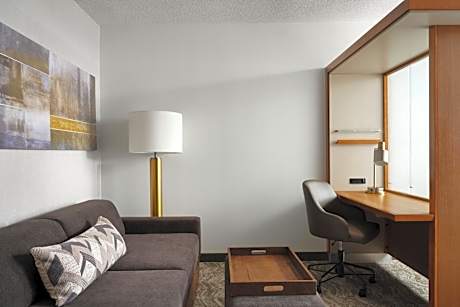 King Suite with Trundle Sofa