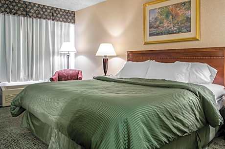 Standard Room, 1 King Bed with Microwave and Mini-Fridge, Non Smoking